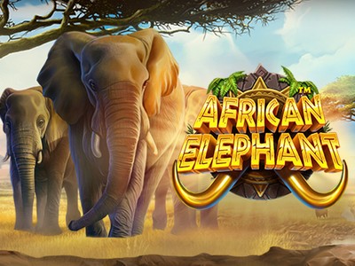 BU88 African Elephant